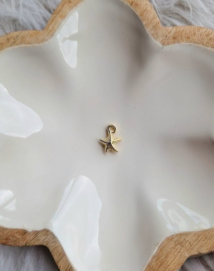Charms étoile de mer à ajouter aux médailles pour animaux par l'Atelier d'Amandine